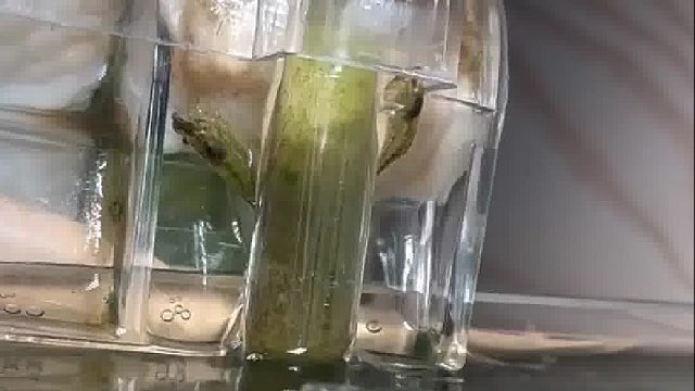 蝦：那我問你？