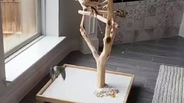 發(fā)動(dòng)機(jī)啟停