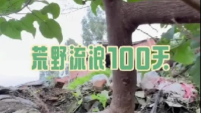 桃花源差一點暴露