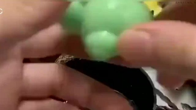 騙寄居蟹換殼！寄居蟹：你禮貌嗎