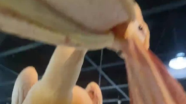 邪完鳥，擱我頭上打快板捏