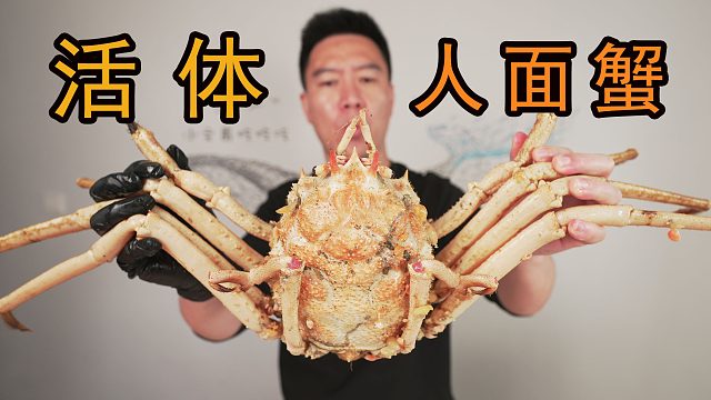 耗時(shí)五年只為吃這只人面蟹，到底值不值？