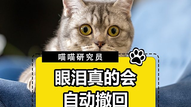 鯊我別用貓貓刀，真的看一次哭一次