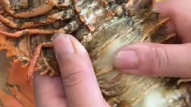 輕松剝出整只蝦肉，網友分享琵琶蝦吃法！