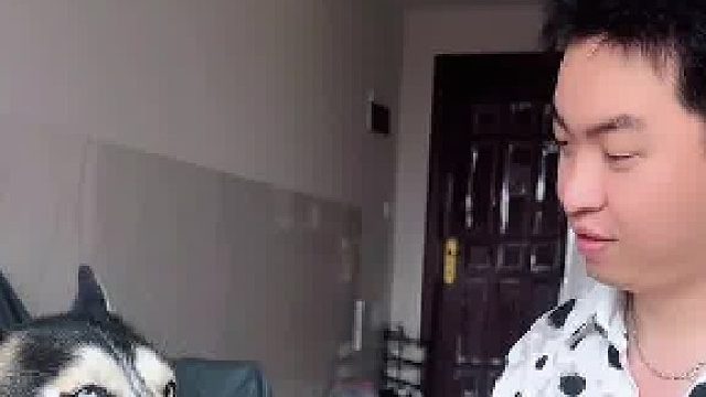 狗：你就非得犯賤嗎？！