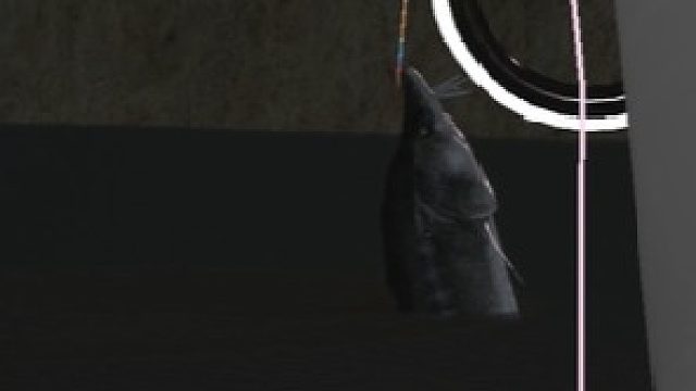 錘大魚(yú)-片段2