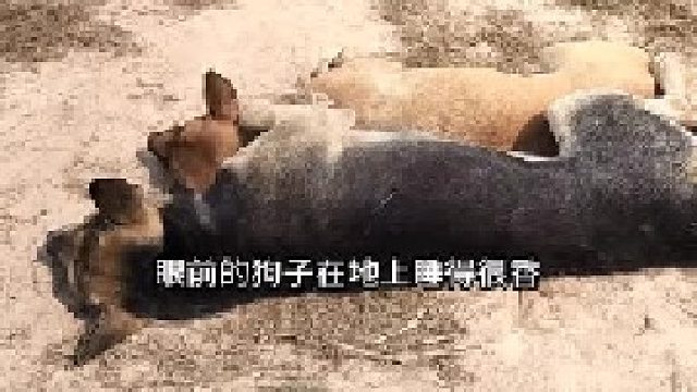 一個(gè)成語(yǔ)表達(dá)了畫(huà)面的內(nèi)容