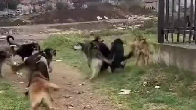 “正規(guī)軍的實力”“雜牌兵再多也沒用”