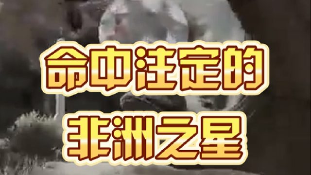 命中注定的非洲之星