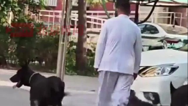 大爺小區(qū)內(nèi)遛大型犬不拴繩，女子出言提醒卻被“恐嚇”，“你報(bào)警又能把我怎么著”。警察到后勸誡大爺反被懟：我不懂，這是農(nóng)村。