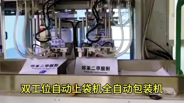 雙工位自動(dòng)上袋機(jī)全自動(dòng)包裝機(jī)