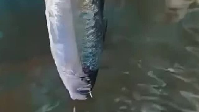 你見了會有啥感覺 哈哈