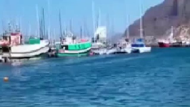 在碧藍海水中暢游的海豚，自由自在，好不愜意！