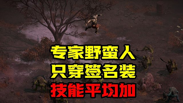 暗黑2 專家2PP野蠻人 只穿簽名裝 三系技能平均加