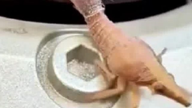 誰知道這是啥？