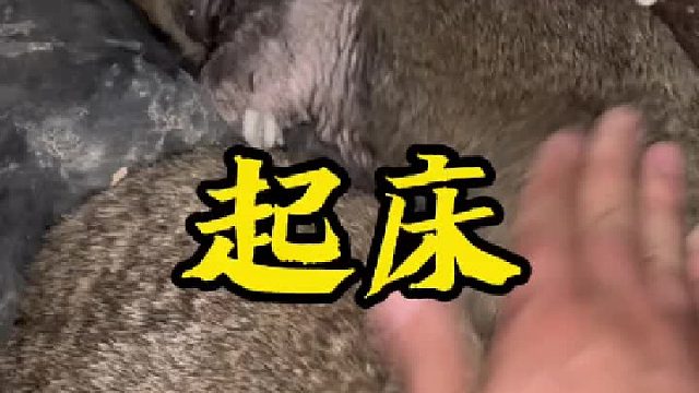 起來拍視頻了。