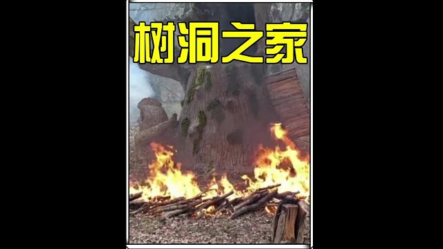 樹洞庇護所大家可能并不陌生，但是這樣拉風的壁爐你肯定是第一次見