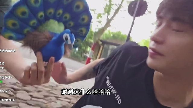 童的粉絲真會(huì)揶揄人，給童送了一個(gè)孔雀開(kāi)屏，得知意思后想打人