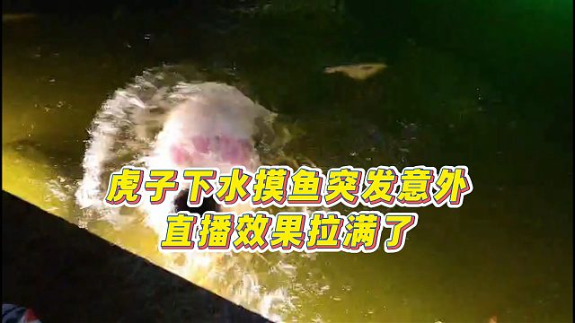 【集夢(mèng)小小小酷哥】虎子下水摸魚(yú)突發(fā)意外，直播效果拉滿了