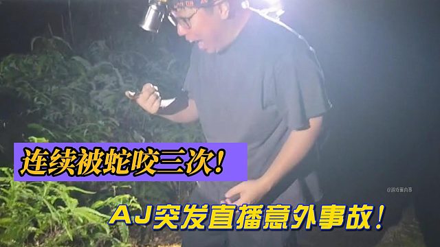 連續(xù)被蛇咬三次！AJ突發(fā)直播意外事故！