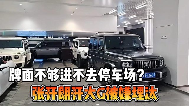 張開朗開大G被嫌埋汰，牌面不夠進不去停車場？