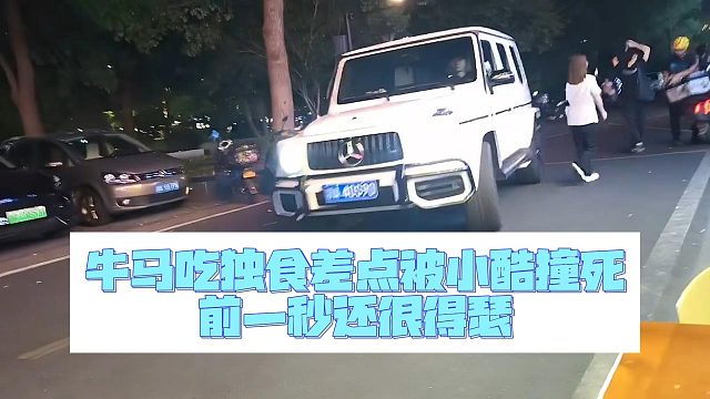 牛馬吃獨(dú)食差點(diǎn)被小酷撞死，前一秒還很得瑟