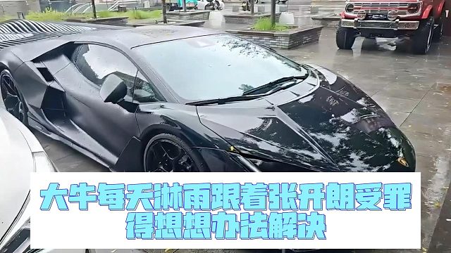 大牛每天淋雨跟著張開(kāi)朗受罪，得想想辦法解決