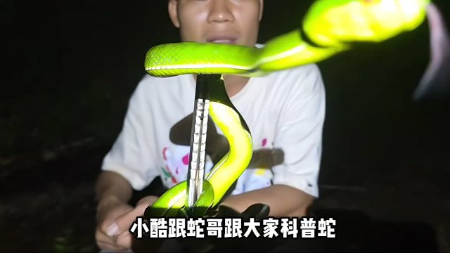 【小小酷】小酷跟蛇哥跟大家科普蛇