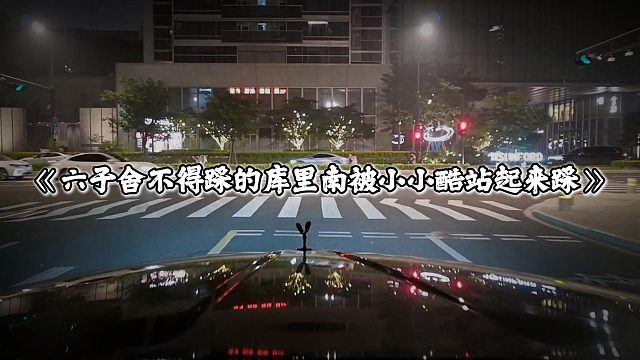 六子舍不得踩的庫里南被小小酷站起來踩