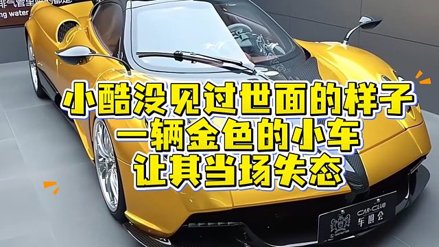 小酷也有沒見過世面的樣子，一輛金色的小車讓其當(dāng)場失態(tài)