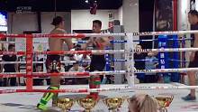 mma