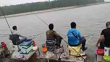 野釣巨星