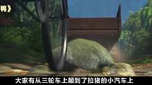 大雁和鴨子應(yīng)該如何。。。。。。。成一家人？