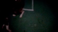 某主播深夜遛