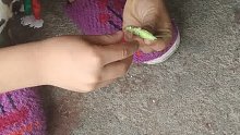 你們有沒有這樣的童年