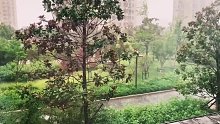 今天這雨像依萍找她爸要錢那天一樣大