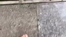 沒鞋穿啦