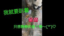 我不管我不管，我就是起不來?。?！