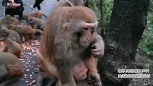 熊熊