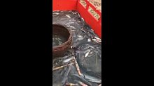 好多魚
