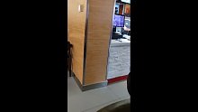 出來覓食
