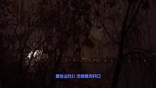 夜半煙花美，你會(huì)想起誰？