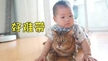 让猫给我带小孩 结果把孩子带成了猫