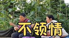 四川妹做了一道美食，婆婆却不领情怎么都不吃，小南说太难伺候了