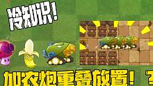 植物大战僵尸：冷知识！玉米加农炮重叠放置！
