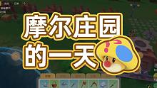 摩尔庄园的一天