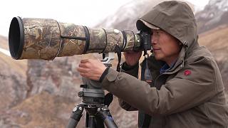 【大师说】野生动物摄影师奚志农与他手中的“利器”——索尼Alpha 1