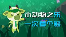 小动物之【乐】一次看个够