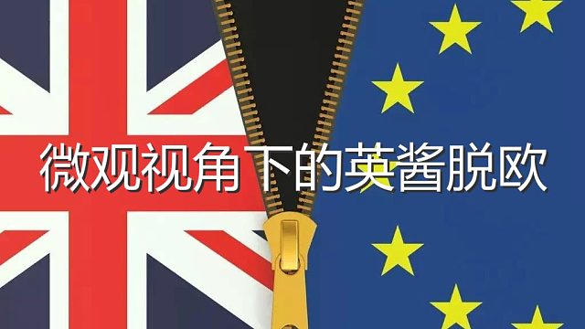 微观视角下的英酱脱欧