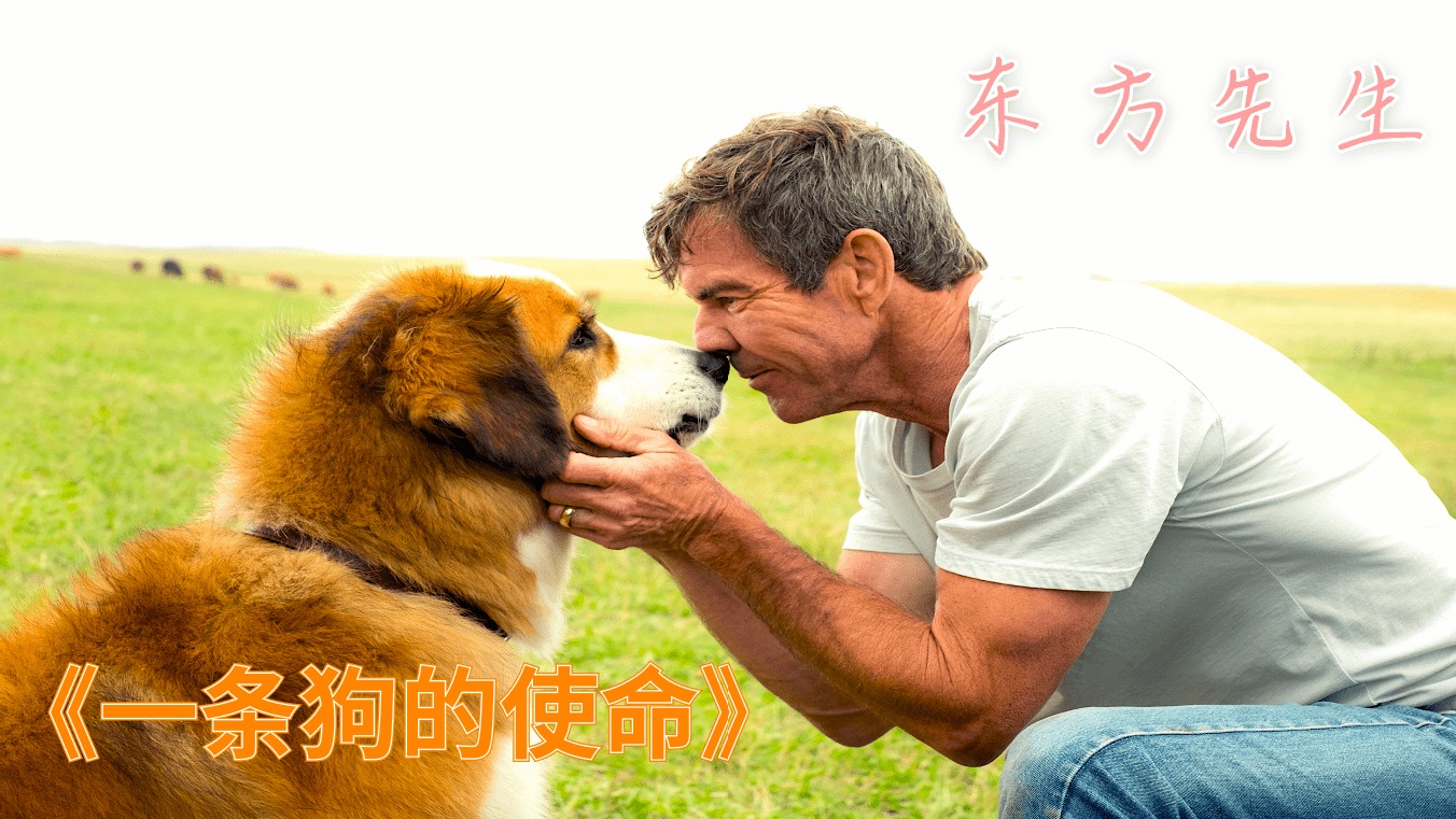这么刺激吗，全世界杀你一个